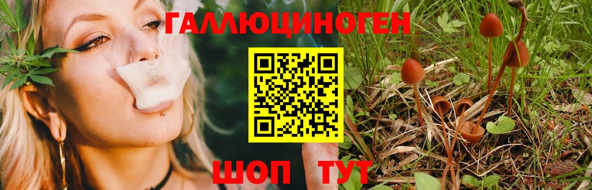 Псилоцибиновые грибы мухоморы Набережные Челны