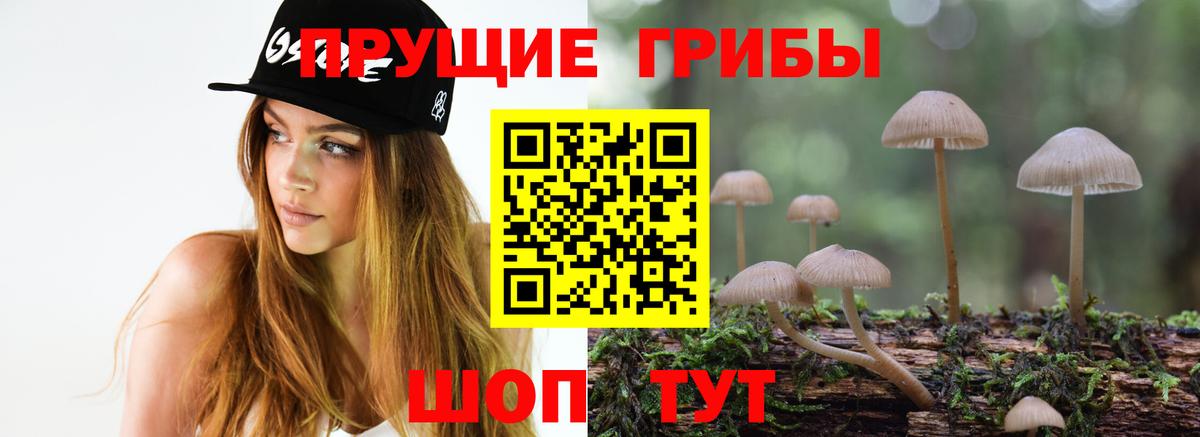 Набережные Челны  Псилоцибиновые грибы GOLDEN TEACHER  Вход с VPN 